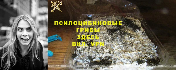 круглые Алзамай